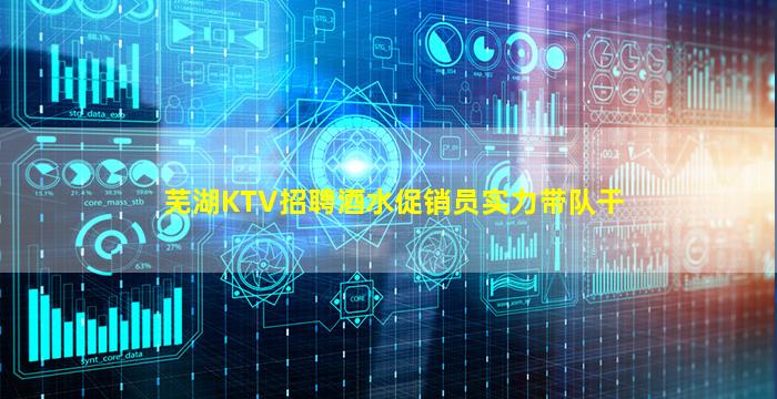 芜湖KTV招聘酒水促销员实力带队干